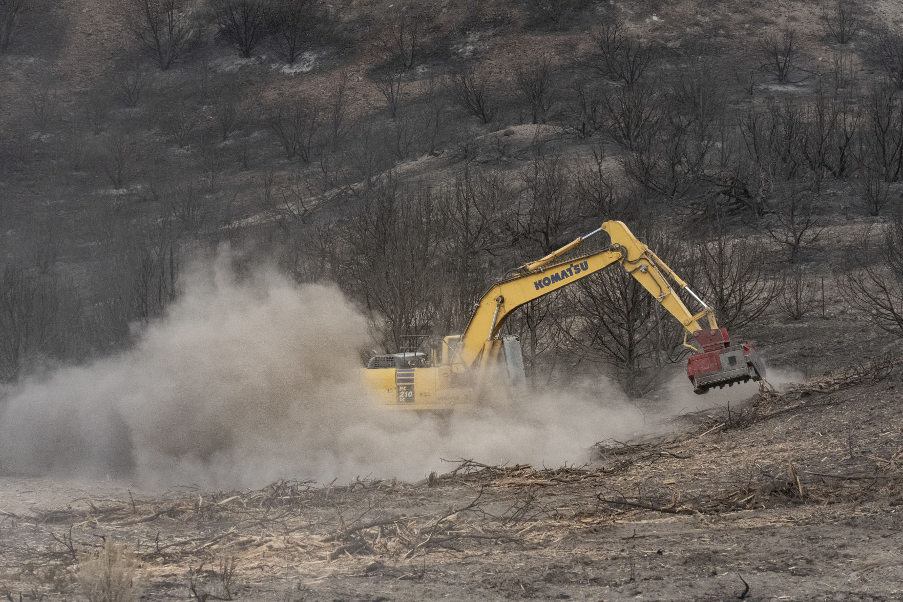 Restoration continues after South Hills Badger Fire